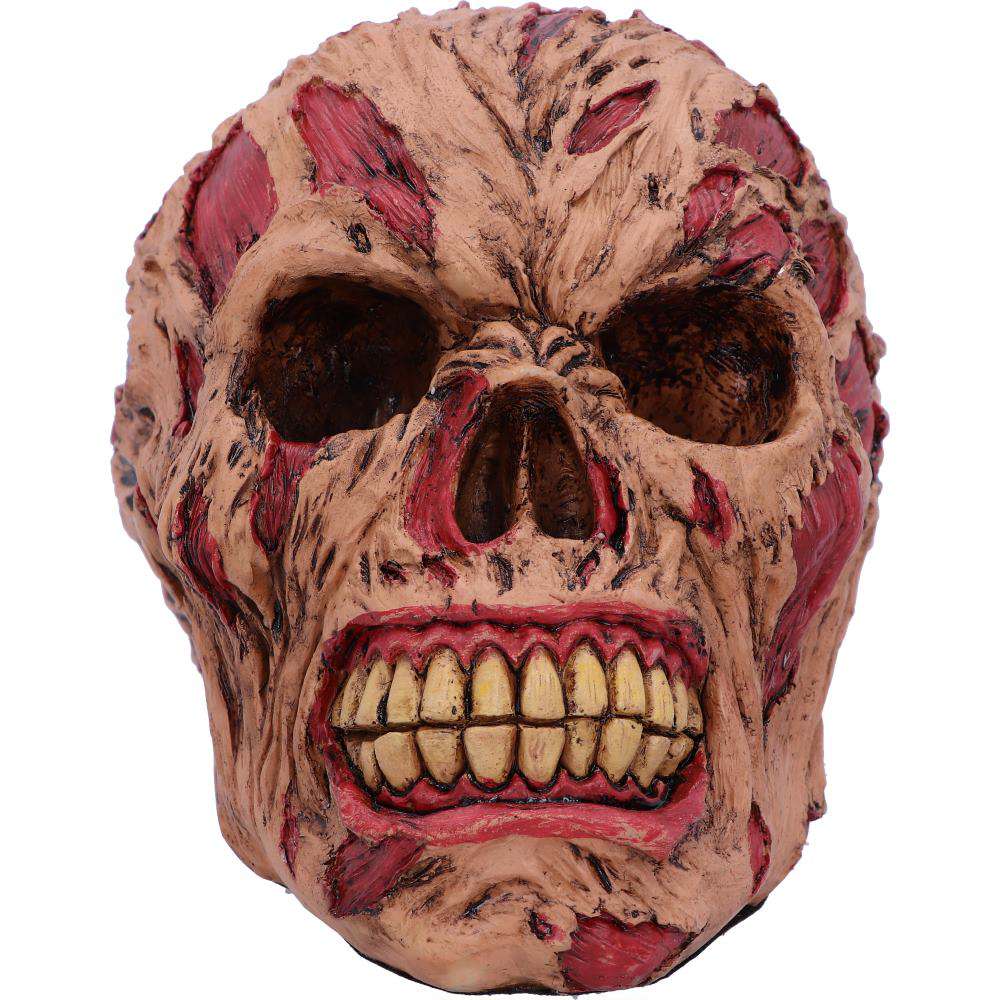 77471-ROTTING ZOMBIE SKULL ORNAMENT 17CM