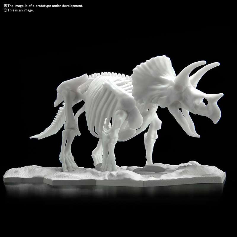 78388-DINOSAUR LIMEX SKELETON TRICERATOPS MK