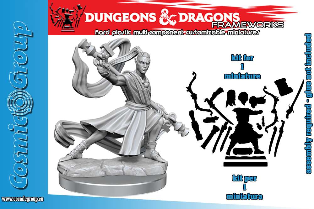 79280-D&D FRAMEWORKS-ELF MONK MALE