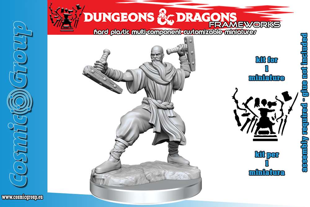 79302-D&D FRAMEWORKS-HUMAN MONK MALE