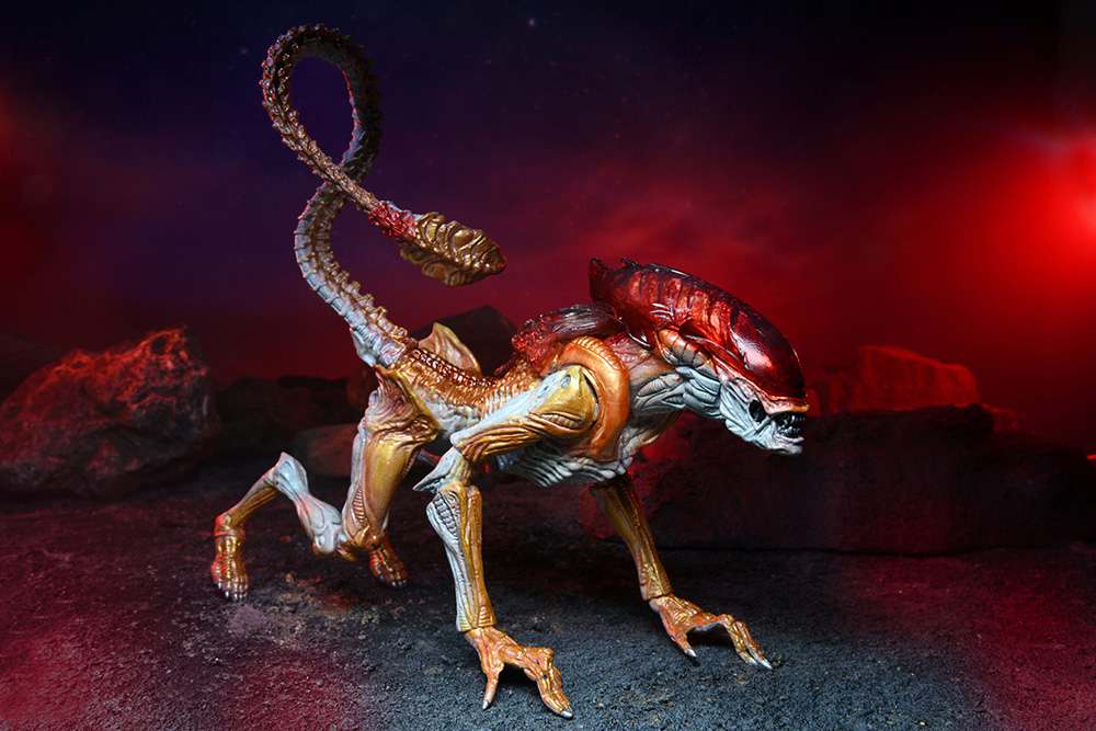 79759-ALIENS KENNER PANTHER ALIEN AF