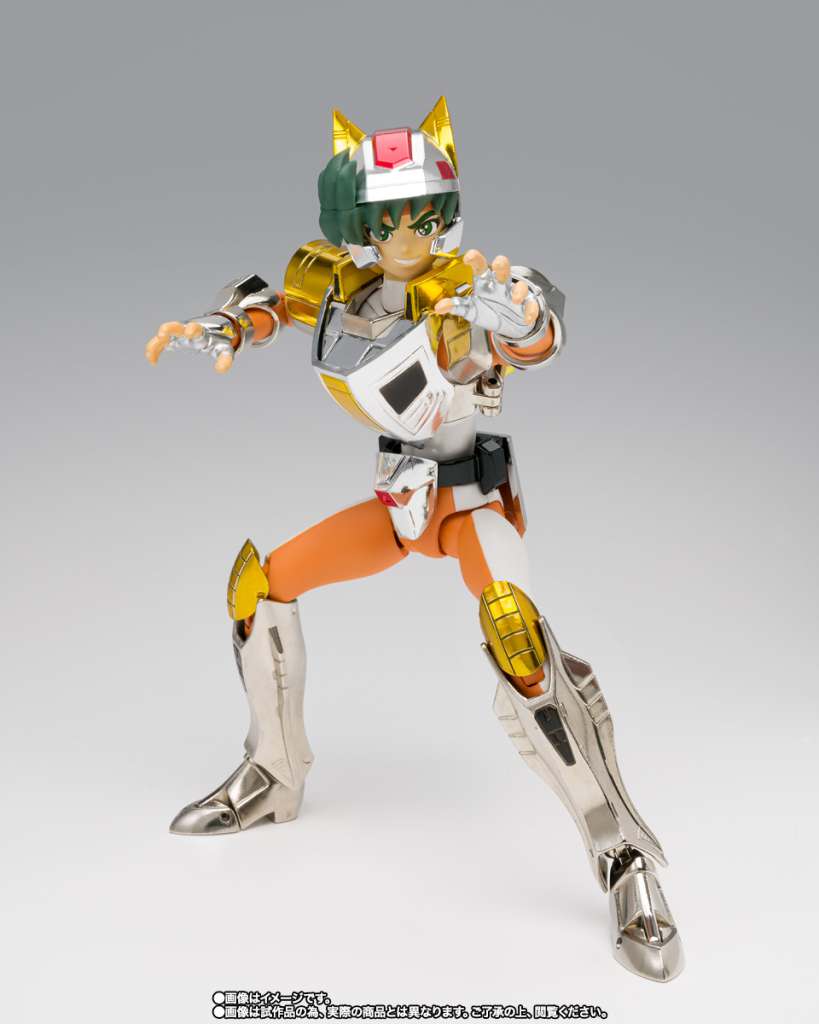 84096-STEEL SAINT LANDCLOTH DAICHI REVIVAL