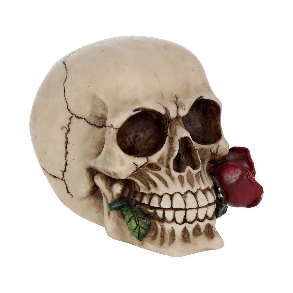 90330-SKULL GOTHIC ROSE FROM THE DEAD