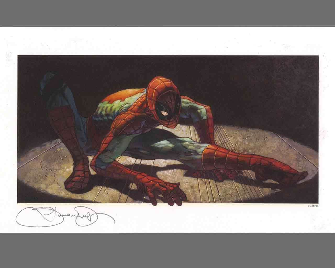 96283-S.BIANCHI - SPIDERMAN CRAWLING - LYTHO